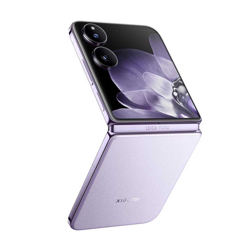 Nebula Purple