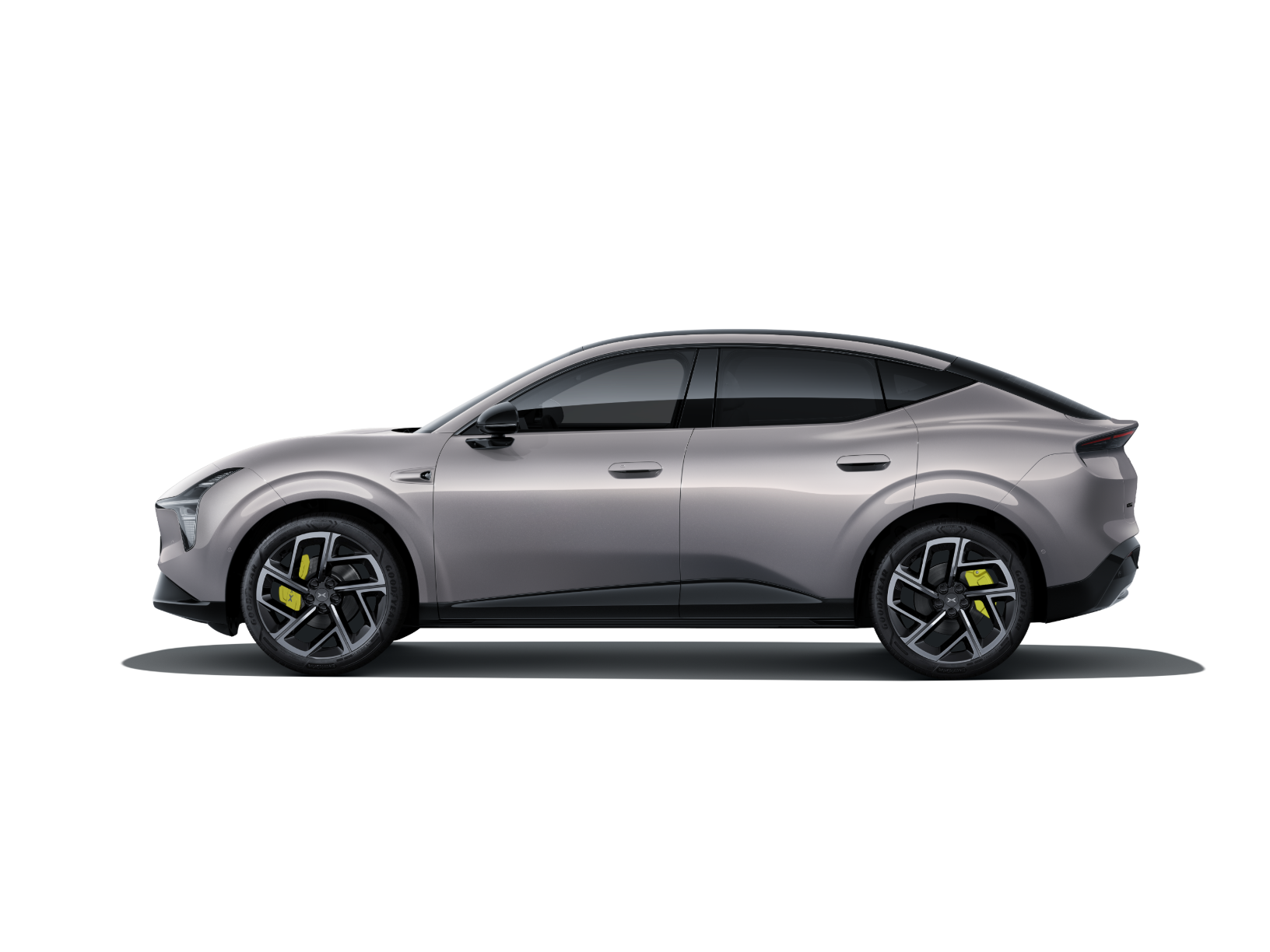 Rock Gray