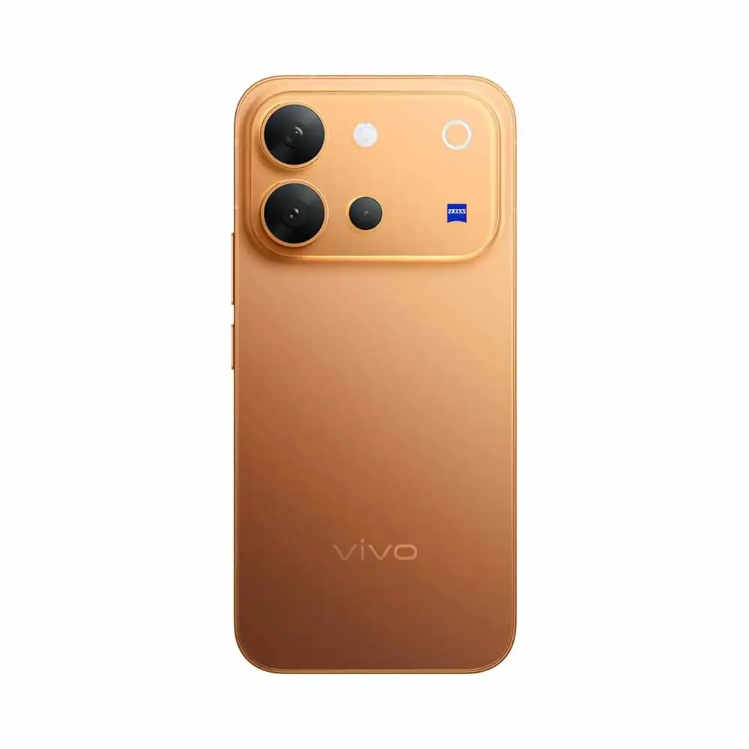 vivo V80