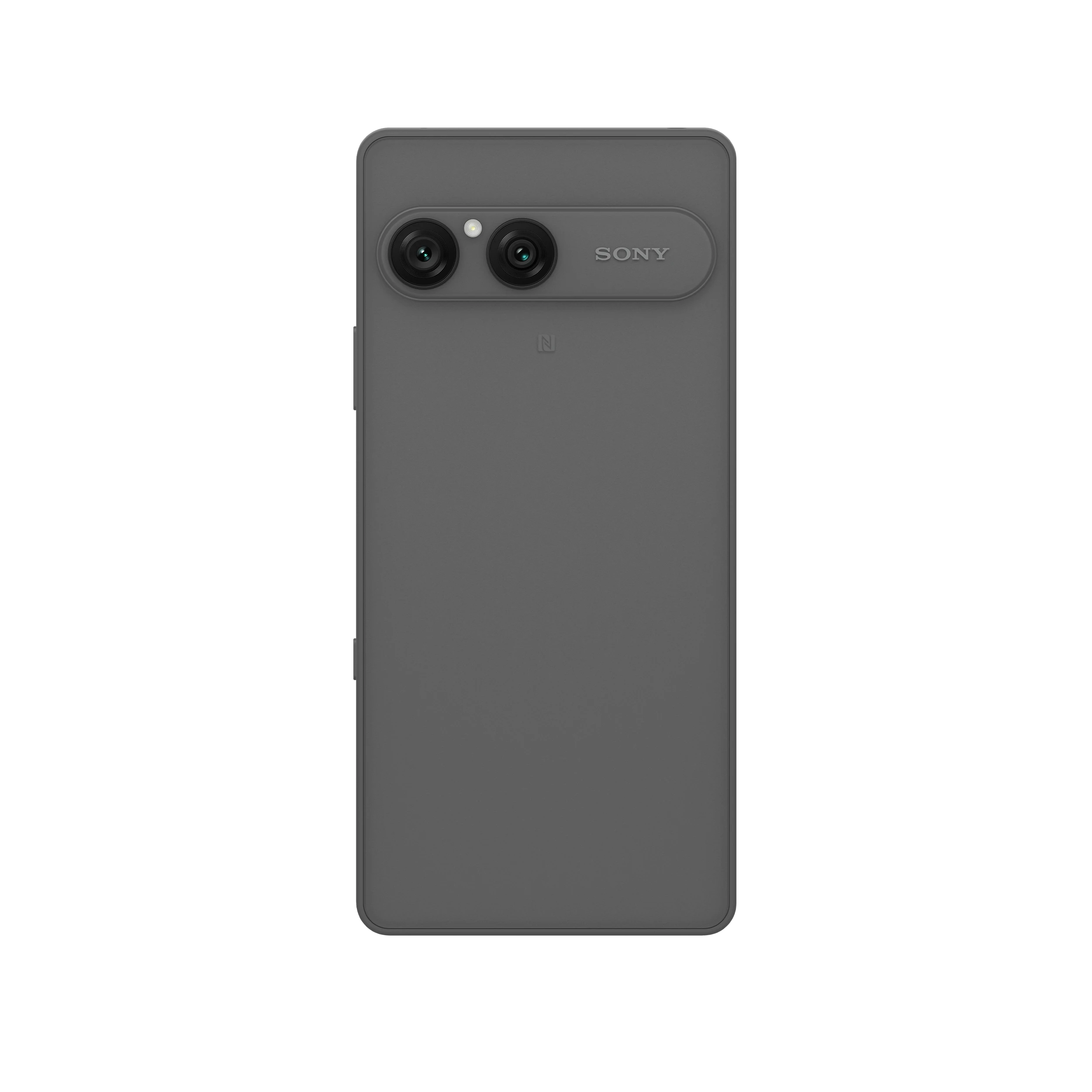 Frosted Grey