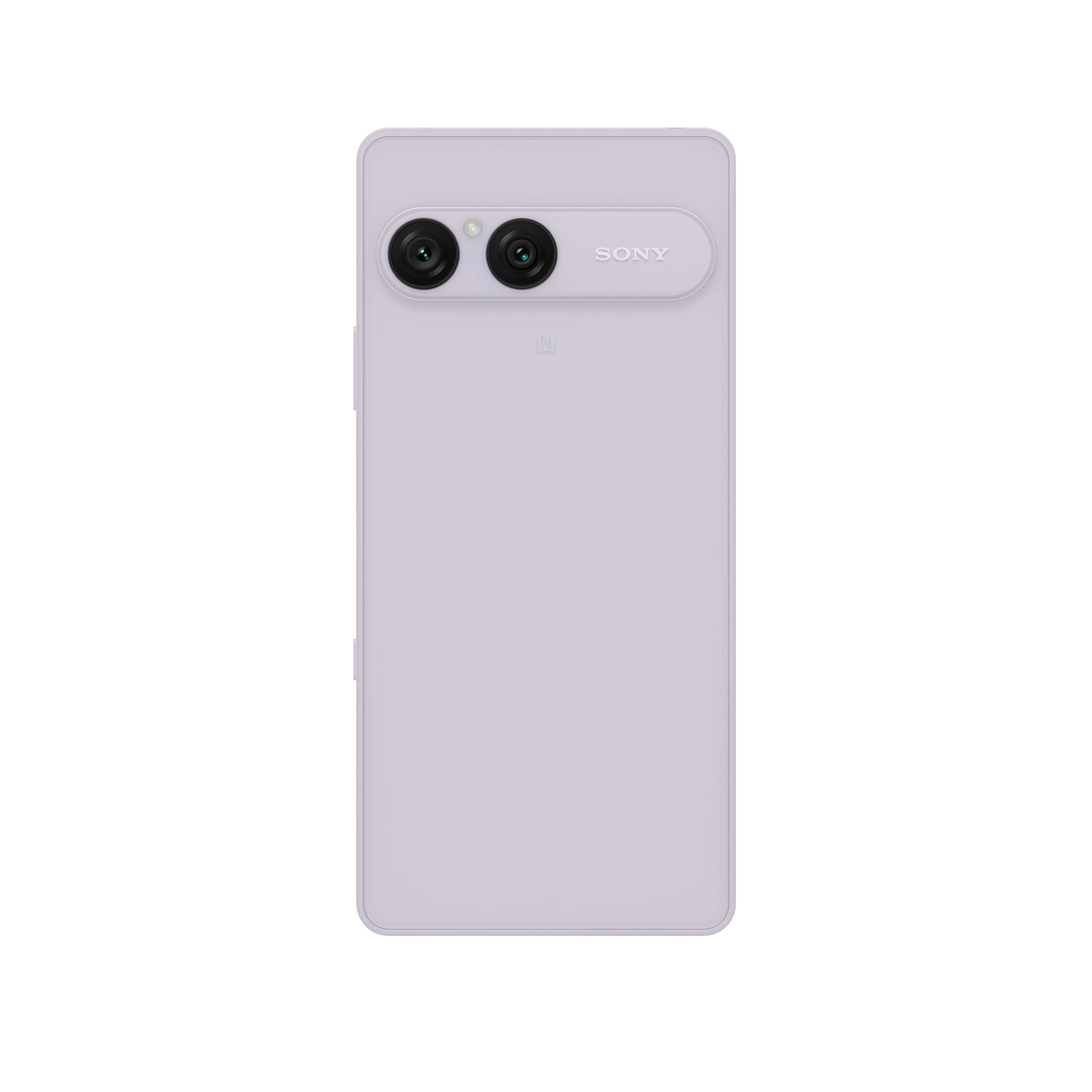 Misty Lilac
