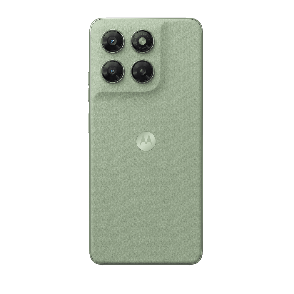 PANTONE Laurel Green